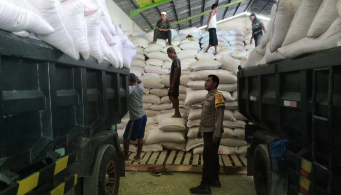 Langkah Nyata Polres Lombok Barat Kawal Distribusi Jagung Petani Mareje Timur Tembus Bulog