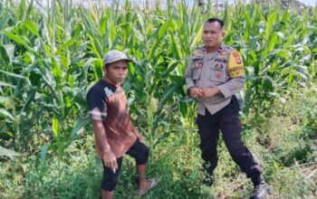 Petani Dusun Jogot Tersenyum, Polsek Labuapi Berikan Pendampingan Intensif untuk Amankan Stok Pangan Desa