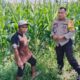 Petani Dusun Jogot Tersenyum, Polsek Labuapi Berikan Pendampingan Intensif untuk Amankan Stok Pangan Desa