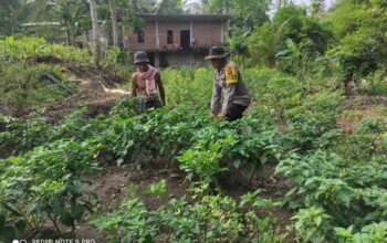 Bhabinkamtibmas Desa Setuta Ajak Warga Manfaatkan Pekarangan Rumah untuk Ketahanan Pangan