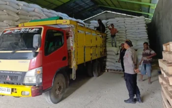 Optimalisasi Serapan Jagung, Polsek Lembar Dampingi Petani Distribusikan Hasil Panen ke Bulog