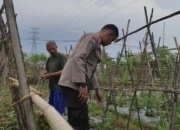 Bhabinkamtibmas Kuranji Dalang Motivasi Petani Sayur: Optimalkan Lahan Pekarangan di Desa