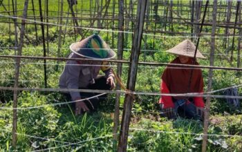 Bukan Sekadar Jaga Keamanan, Polisi di Lombok Barat Kini Jadi Motor Ketahanan Pangan