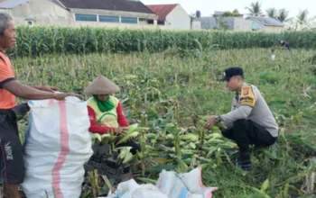 Sinergi Bhabinkamtibmas dan Warga Labuapi, Mengubah Pekarangan Menjadi Lumbung Pangan Keluarga