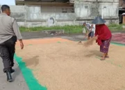 Sinergi Polri dan Masyarakat, Bhabinkamtibmas Desa Merembu Perkuat Ketahanan Pangan Berkelanjutan