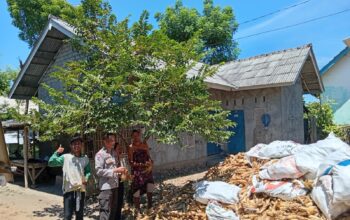 Polisi Turun ke Ladang, Panen Jagung di Jerowaru Dipantau Langsung