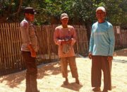 Ketahanan Pangan Nasional, Bhabinkamtibmas Polsek Bolo Cek Harga dan Bantu Jemur Jagung Warga Binaan