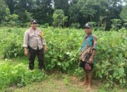 Bhabinkamtibmas Desa Bakajaya Dorong Ketahanan Pangan Melalui Budidaya Terong di Pekarangan Warga
