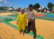 Ketahanan Pangan Nasional, Kanit Binmas Polsek Bolo Pantau dan Bantuan Jemur Jagung Warga