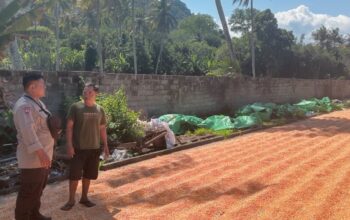 POLRES DOMPU DORONG KETAHANAN PANGAN, BHABINKAMTIBMAS PANTAU PANEN JAGUNG WARGA DI PEKAT