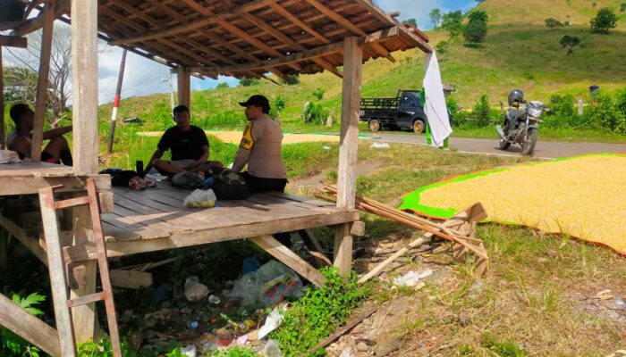 Bhabinkamtibmas Desa Jala Turun ke Lapangan, Pastikan Hasil Panen Aman dan Optimal