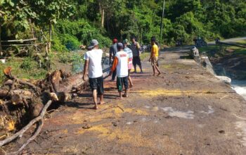 Sinergi Pasca Banjir, BKTM Desa Sempe dan Warga Kompak Bersihkan Sumbatan Kayu di Jembatan Berang Odong