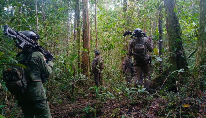 Satgas Operasi Damai Cartenz 2026 Laksanakan Patroli Taktis dan Penyisiran di Yahukimo