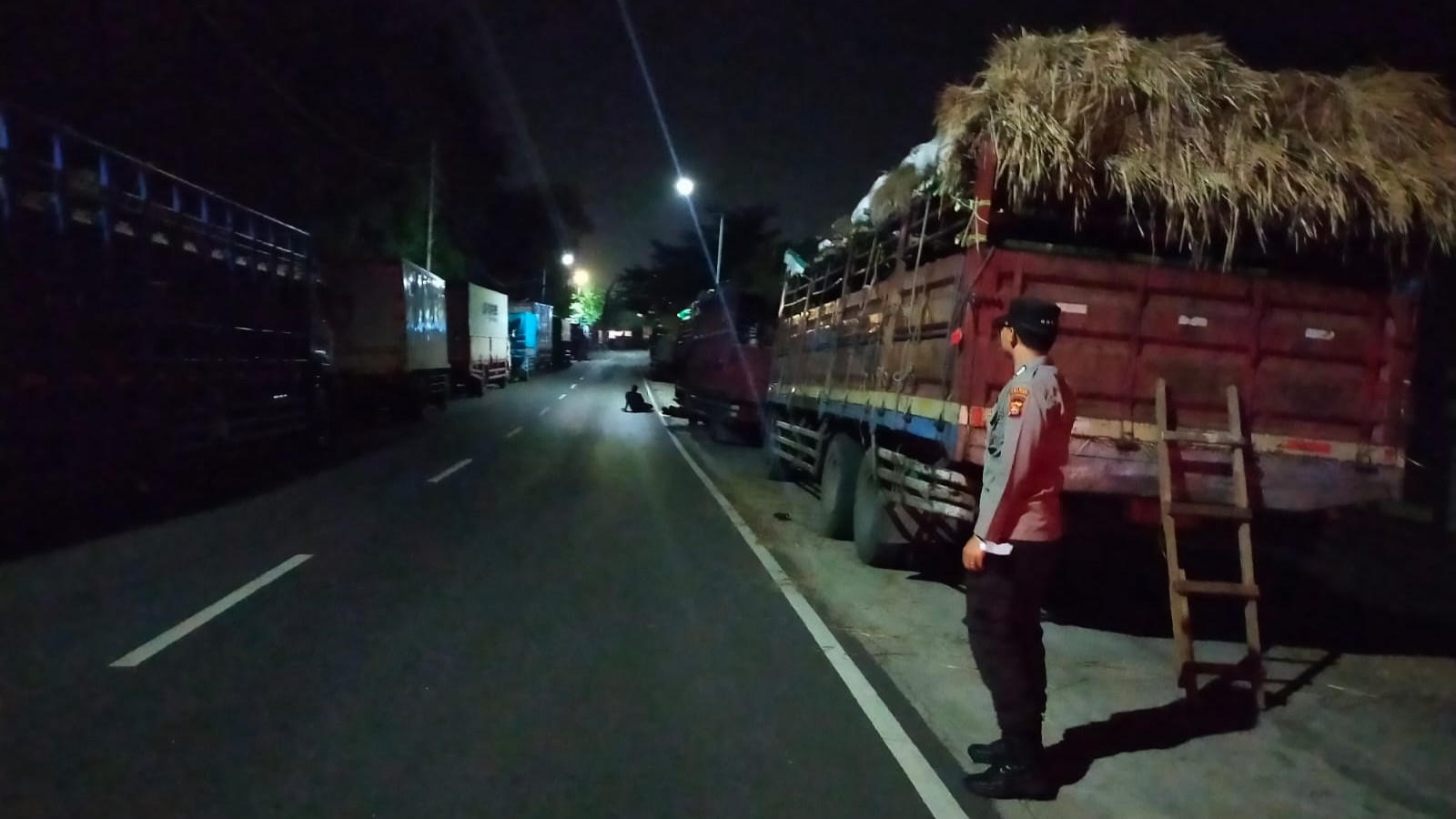 Pantauan Terkini di Pelabuhan Lembar: Arus Pengiriman Ternak Sapi Menuju Pulau Jawa Dipastikan Tetap Lancar dan Terkendali