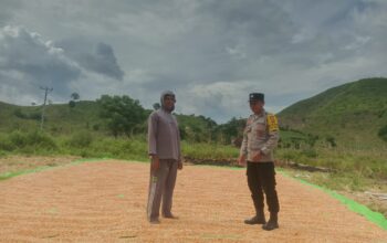 Dukung Program Pemerintah, Bhabinkamtibmas Ajak Petani Jual Jagung ke Bulog