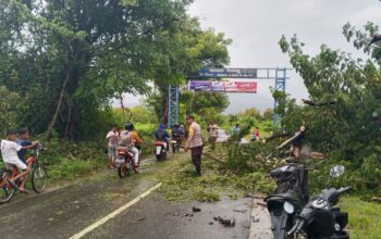 Personel Polsek Moyo Hulu Sigap Lakukan Pengaturan Lalu Lintas Pohon Tumbang yang Tutupi Jalan
