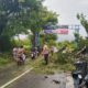 Personel Polsek Moyo Hulu Sigap Lakukan Pengaturan Lalu Lintas Pohon Tumbang yang Tutupi Jalan