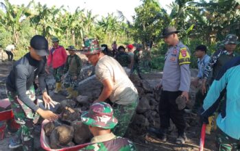 Sinergitas TNI–Polri Menguat, Personel Polsek Suralaga Ikut Gotong Royong TMMD Ke-128 di Paok Lombok