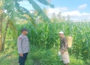 Sinergi Tanpa Batas di Lombok Barat: Saat Polisi dan Petani Berkolaborasi Demi Kedaulatan Pangan Desa