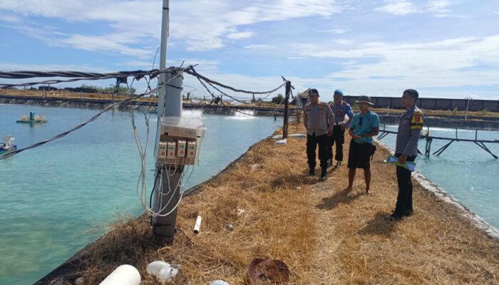 Kapolsek Sambelia Cek TKP Dugaan Pencurian di Tambak Udang Desa Dara Kunci