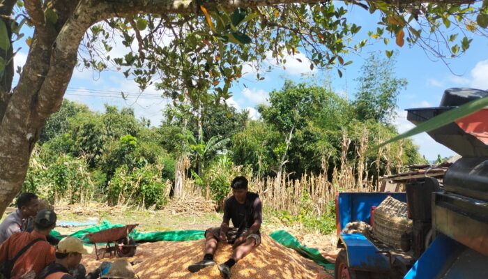 Bhabinkamtibmas Desa Pandan Tinggang Ajak Warga Manfaatkan Pekarangan Dukung Ketahanan Pangan