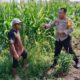 Bhabinkamtibmas Labuapi Dorong Swasembada Jagung di Lombok Barat