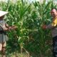 Polri Dukung Ketahanan Pangan Melalui Pendampingan Petani