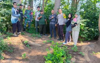 Bhabinkamtibmas Desa Dara Kunci Dampingi Polisi Hutan Cek Kayu Warga yang Akan Ditebang