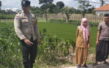 Lahan Kosong Jadi Sumber Cuan, Aksi Nyata Polsek Labuapi Perkuat Ketahanan Pangan Nasional