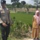 Lahan Kosong Jadi Sumber Cuan, Aksi Nyata Polsek Labuapi Perkuat Ketahanan Pangan Nasional