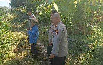 Kapolsek Sakra Monitoring Lahan Jagung dan Ajak Petani Dukung Ketahanan Pangan Nasional