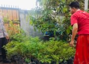 Langkah Humanis Polsek Labuapi Optimalkan Lahan Tidur Demi Gizi Keluarga