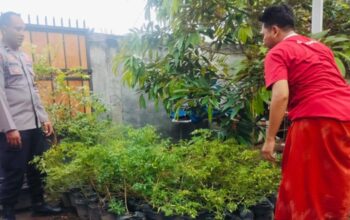 Langkah Humanis Polsek Labuapi Optimalkan Lahan Tidur Demi Gizi Keluarga