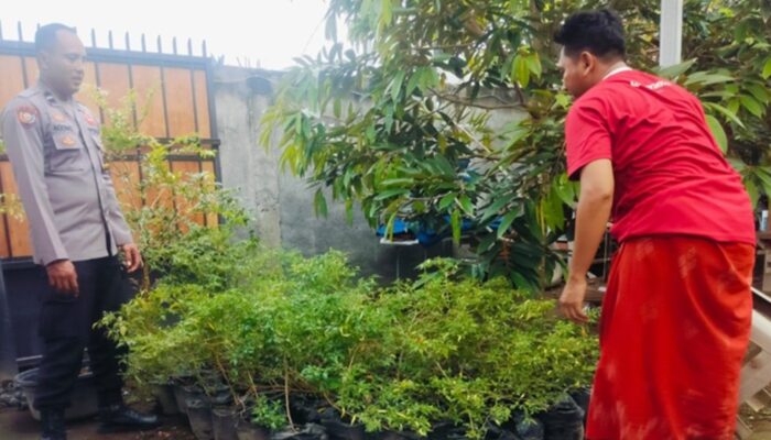 Langkah Humanis Polsek Labuapi Optimalkan Lahan Tidur Demi Gizi Keluarga