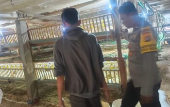 Bhabinkamtibmas Beleke Dukung Swasembada Pangan Lokal