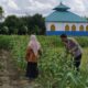 Bhabinkamtibmas di Lombok Barat Sulap Lahan Kosong Jadi Kebun Pangan