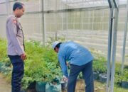 Cara Polisi Lombok Barat Wujudkan Kemandirian Pangan Desa