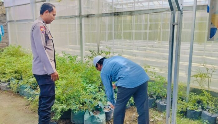 Bhabinkamtibmas Bajur Ajak Warga Manfaatkan Lahan Pekarangan