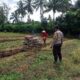 Sinergi di Sawah, Bhabinkamtibmas Desa Kalabeso Pantau Aktivitas Tanam Padi Warga