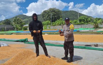 POLSEK KEMPO DUKUNG PROGRAM KETAHANAN PANGAN NASIONAL MELALUI PEMANTAUAN PENJEMURAN JAGUNG WARGA