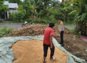 POLSEK PEKAT DUKUNG KETAHANAN PANGAN NASIONAL MELALUI PEMANTAUAN HASIL PANEN JAGUNG WARGA