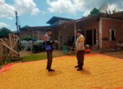Ketahanan Pangan Jadi Prioritas, Bhabinkamtibmas Desa Jala Dampingi Petani Jagung