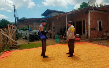 Ketahanan Pangan Jadi Prioritas, Bhabinkamtibmas Desa Jala Dampingi Petani Jagung