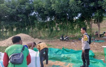 Bhabinkamtibmas Imbau Petani Salurkan Jagung ke Bulog Demi Stabilitas Harga
