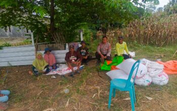 Personel Polsek Sape Sambangi Petani Jagung di Wera, Pantau Proses Panen dan Sosialisasikan Penyerapan oleh BULOG