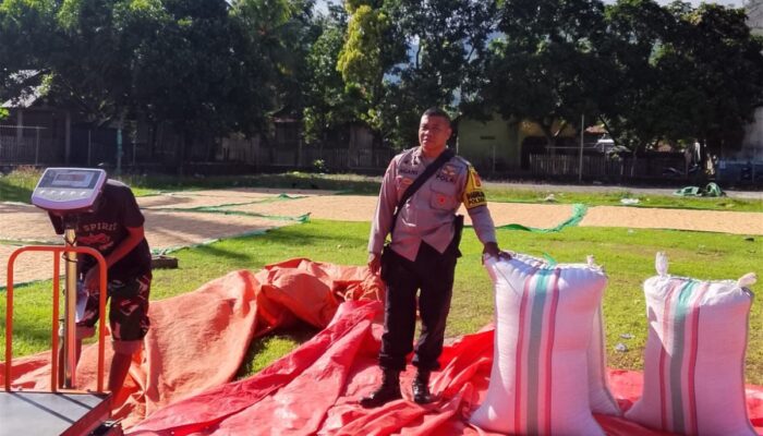BHABINKAMTIBMAS POLSEK HU’U LAKSANAKAN PEMANTAUAN HASIL PANEN JAGUNG WARGA DI DESA SAWE
