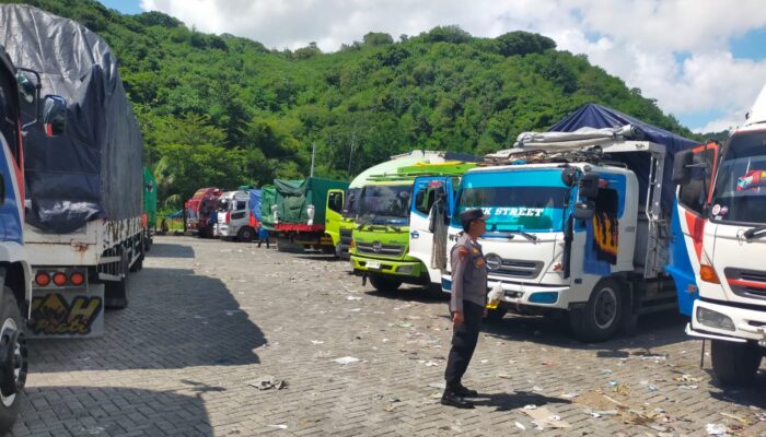 Antrian Truk Sapi di Pelabuhan Lembar Akhirnya Nihil, Distribusi Hewan Ternak ke Pulau Jawa Makin Lancar!