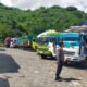 Antrian Truk Sapi di Pelabuhan Lembar Akhirnya Nihil, Distribusi Hewan Ternak ke Pulau Jawa Makin Lancar!