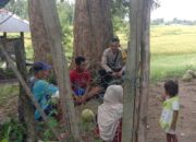 Polsek Woja Dorong Petani Maksimalkan Produksi Padi Demi Ketahanan Pangan Nasional