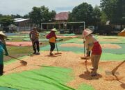 Polri Hadir di Tengah Petani, Bhabinkamtibmas Kempo Dampingi Proses Pasca Panen Jagung